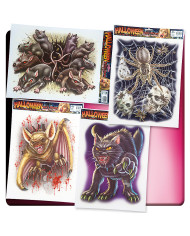 VETROFANIA 4 MOD.ASS. CM.30X40